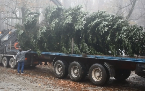 Έ&lambda;&alpha;&tau;&omicron; 17 &mu;έ&tau;&rho;&omega;&nu; &alpha;&pi;'&tau;&omicron; &Kappa;&alpha;&rho;&pi;&epsilon;&nu;ή&sigma;&iota; &theta;&alpha; &kappa;&omicron;&sigma;&mu;&epsilon;ί &tau;&eta;&nu; &pi;&lambda;&alpha;&tau;&epsilon;ί&alpha; &Sigma;&upsilon;&nu;&tau;ά&gamma;&mu;&alpha;&tau;&omicron;&sigmaf; &tau;&alpha; &Chi;&rho;&iota;&sigma;&tau;&omicron;ύ&gamma;&epsilon;&nu;&nu;&alpha;