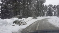 Έ&rho;&chi;&omicron;&nu;&tau;&alpha;&iota; &Chi;&rho;&iota;&sigma;&tau;&omicron;ύ&gamma;&epsilon;&nu;&nu;&alpha; &mu;&epsilon; &pi;&omicron;&lambda;ύ &kappa;&rho;ύ&omicron;-X&iota;ό&nu;&iota; &tau;&eta;&nu; &Tau;&epsilon;&tau;ά&rho;&tau;&eta; &sigma;&tau;&eta;&nu; &Alpha;&tau;&tau;&iota;&kappa;ή