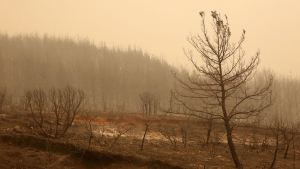 &Tau;&rho;&alpha;&gamma;&omega;&delta;ί&alpha; &sigma;&tau;&omicron;&nu; Έ&beta;&rho;&omicron;-&Nu;&epsilon;&kappa;&rho;&omicron;ί 18 &mu;&epsilon;&tau;&alpha;&nu;ά&sigma;&tau;&epsilon;&sigmaf; &alpha;&pi;ό &tau;&eta; &phi;&omega;&tau;&iota;ά &sigma;&tau;&omicron; &delta;ά&sigma;&omicron;&sigmaf; &tau;&eta;&sigmaf; &Delta;&alpha;&delta;&iota;ά&sigmaf;