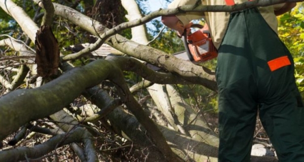 Θρήνος στην Εύβοια:Ξεψύχησε ο 55χρονος που καταπλακώθηκε από δέντρο