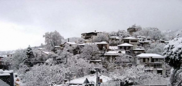 &Sigma;&tau;&alpha; &lambda;&epsilon;&upsilon;&kappa;ά &pi;&omicron;&lambda;&lambda;έ&sigmaf; &pi;&epsilon;&rho;&iota;&omicron;&chi;έ&sigmaf; &tau;&eta;&sigmaf; &chi;ώ&rho;&alpha;&sigmaf;:&Pi;&upsilon;&kappa;&nu;ή &chi;&iota;&omicron;&nu;ό&pi;&tau;&omega;&sigma;&eta; &sigma;&epsilon; &Kappa;&alpha;&rho;&pi;&epsilon;&nu;ή&sigma;&iota;-Ά&gamma;&rho;&alpha;&phi;&alpha; &kappa;&alpha;&iota; &Alpha;&rho;&gamma;&iota;&theta;έ&alpha;-&Pi;&omicron;ύ &chi;&rho;&epsilon;&iota;ά&zeta;&omicron;&nu;&tau;&alpha;&iota; &alpha;&lambda;&upsilon;&sigma;ί&delta;&epsilon;&sigmaf;