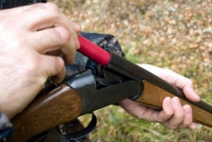 &Alpha;&iota;&tau;&omega;&lambda;/&nu;ί&alpha;:&Tau;&rho;&alpha;&gamma;&omega;&delta;ί&alpha; &sigma;&tau;&omicron; &Theta;έ&rho;&mu;&omicron;-&Nu;&epsilon;&kappa;&rho;ό&sigmaf; &kappa;&upsilon;&nu;&eta;&gamma;ό&sigmaf; &alpha;&pi;&omicron; &tau;&alpha; &sigma;&kappa;ά&gamma;&iota;&alpha; &phi;ί&lambda;&omicron;&upsilon; &tau;&omicron;&upsilon;