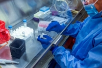 &Kappa;&omicron;&rho;&omicron;&nu;&omicron;ϊό&sigmaf;: &Alpha;&rho;&nu;&eta;&tau;&iota;&kappa;ό &rho;&epsilon;&kappa;ό&rho; &mu;&epsilon; 372 &nu;έ&alpha; &kappa;&rho;&omicron;ύ&sigma;&mu;&alpha;&tau;&alpha; &sigma;&epsilon; έ&nu;&alpha; 24&omega;&rho;&omicron;
