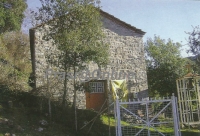 &Sigma;&tau;&omicron;&nu; &pi;&alpha;&lambda;&iota;ό Ά&gamma;&iota;&omicron; &Nu;&iota;&kappa;ό&lambda;&alpha;&omicron; &Pi;&rho;&alpha;&sigma;&iota;ά&sigmaf;(&Phi;ώ&tau;&omicron;)