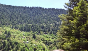 &Kappa;&rho;&alpha;&upsilon;&gamma;ή &alpha;&gamma;&omega;&nu;ί&alpha;&sigmaf; &tau;&omega;&nu; &kappa;&alpha;&tau;&omicron;ί&kappa;&omega;&nu; &sigma;&tau;&alpha; &Psi;&iota;&alpha;&nu;ά &Epsilon;&upsilon;&rho;&upsilon;&tau;&alpha;&nu;ί&alpha;&sigmaf;-&Chi;&omega;&rho;ί&sigmaf; &delta;&iota;έ&xi;&omicron;&delta;&omicron; &delta;&iota;&alpha;&phi;&upsilon;&gamma;ή&sigmaf; &sigma;&epsilon; &pi;&epsilon;&rho;ί&pi;&tau;&omega;&sigma;&eta; &pi;&upsilon;&rho;&kappa;&alpha;&gamma;&iota;ά&sigmaf;