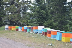 &Kappa;&alpha;&rho;&pi;&epsilon;&nu;ή&sigma;&iota;:&Sigma;&upsilon;&gamma;&kappa;έ&nu;&tau;&rho;&omega;&sigma;&eta; &gamma;&iota;&alpha; &tau;&eta;&nu; &alpha;&nu;ά&pi;&tau;&upsilon;&xi;&eta; &kappa;&alpha;&iota; &tau;&alpha;&upsilon;&tau;&omicron;&pi;&omicron;ί&eta;&sigma;&eta; &tau;&omicron;&upsilon; &mu;&epsilon;&lambda;&iota;&omicron;ύ &sigma;&tau;&eta;&nu; &Epsilon;&upsilon;&rho;&upsilon;&tau;&alpha;&nu;ί&alpha;