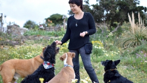 &Gamma;&iota;&alpha;&tau;ί &delta;&epsilon;&nu; &pi;&rho;έ&pi;&epsilon;&iota; &nu;&alpha; &mu;&alpha;&lambda;ώ&nu;&omicron;&upsilon;&mu;&epsilon; &tau;&omicron;&nu; &sigma;&kappa;ύ&lambda;&omicron; &mu;&alpha;&sigmaf;