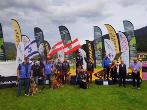 &Kappa;&alpha;&rho;&pi;&epsilon;&nu;ή&sigma;&iota;:&Mu;ά&gamma;&epsilon;&psi;&alpha;&nu; &tau;&omicron; &kappa;&omicron;&iota;&nu;ό &omicron;&iota; &Beta;έ&lambda;&gamma;&iota;&kappa;&omicron;&iota; &pi;&omicron;&iota;&mu;&epsilon;&nu;&iota;&kappa;&omicron;ί(&Beta;ί&nu;&tau;&epsilon;&omicron;)