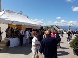 &Tau;&rho;&iota;ή&mu;&epsilon;&rho;&omicron; &pi;&rho;&omicron;&beta;&omicron;&lambda;ή&sigmaf; &tau;&omicron;&upsilon; &delta;ή&mu;&omicron;&upsilon; &Kappa;&alpha;&rho;&pi;&epsilon;&nu;&eta;&sigma;ί&omicron;&upsilon; &sigma;&tau;&eta; &Pi;&epsilon;&lambda;&omicron;&pi;ό&nu;&nu;&eta;&sigma;&omicron;(&Phi;ώ&tau;&omicron;)