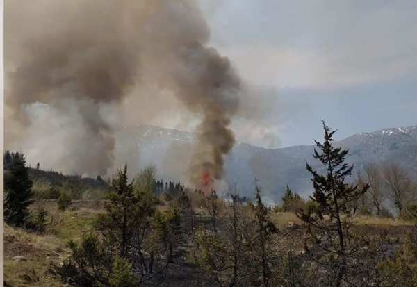 &Tau;&Omega;&Rho;&Alpha;:&Phi;&omega;&tau;&iota;ά &sigma;&epsilon; &epsilon;&lambda;&alpha;&tau;ό&delta;&alpha;&sigma;&omicron;&sigmaf; &sigma;&tau;&omicron; &Tau;&rho;&omicron;&beta;ά&tau;&omicron; &Alpha;&gamma;&rho;ά&phi;&omega;&nu;(&Phi;ώ&tau;&omicron;)