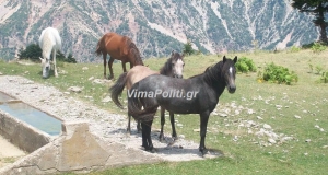 Απρίλης και παράδοση..