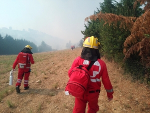 Ά&gamma;&rho;&alpha;&phi;&alpha;:&Iota;&delta;&rho;ύ&epsilon;&tau;&alpha;&iota; &epsilon;&theta;&epsilon;&lambda;&omicron;&nu;&tau;&iota;&kappa;ή &delta;&iota;&alpha;&sigma;&omega;&sigma;&tau;&iota;&kappa;ή &omicron;&mu;ά&delta;&alpha;-&Alpha;ύ&rho;&iota;&omicron; &eta; &pi;&alpha;&rho;&omicron;&upsilon;&sigma;ί&alpha;&sigma;&eta; &sigma;&tau;&omicron; &Rho;&alpha;&pi;&tau;ό&pi;&omicron;&upsilon;&lambda;&omicron;