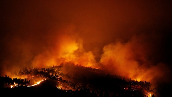 Τουλάχιστον 39 νεκροί από φονική πυρκαγιά στην Πορτογαλία(Bίντεο)