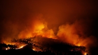 &Tau;&omicron;&upsilon;&lambda;ά&chi;&iota;&sigma;&tau;&omicron;&nu; 39 &nu;&epsilon;&kappa;&rho;&omicron;ί &alpha;&pi;ό &phi;&omicron;&nu;&iota;&kappa;ή &pi;&upsilon;&rho;&kappa;&alpha;&gamma;&iota;ά &sigma;&tau;&eta;&nu; &Pi;&omicron;&rho;&tau;&omicron;&gamma;&alpha;&lambda;ί&alpha;(Bί&nu;&tau;&epsilon;&omicron;)