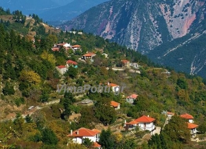 &Kappa;&alpha;&rho;&pi;&epsilon;&nu;ή&sigma;&iota;:&Theta;&omega;&rho;&alpha;&kappa;ί&zeta;&epsilon;&tau;&alpha;&iota; &mu;&epsilon; &alpha;&nu;&tau;&iota;&pi;&lambda;&eta;&mu;&mu;&upsilon;&rho;&iota;&kappa;ά έ&rho;&gamma;&alpha; o A&sigma;&pi;&rho;ό&pi;&upsilon;&rho;&gamma;&omicron;&sigmaf;