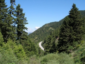 &Sigma;&upsilon;&nu;&tau;&omicron;&nu;&iota;&sigma;&mu;ό &kappa;&alpha;&iota; &delta;&rho;ά&sigma;&epsilon;&iota;&sigmaf; &gamma;&iota;&alpha; &tau;&eta;&nu; &pi;&rho;&omicron;&sigma;&tau;&alpha;&sigma;ί&alpha; &tau;&omega;&nu; &delta;&alpha;&sigma;ώ&nu; &zeta;&eta;&tau;&omicron;ύ&nu; &omicron;&iota; &Alpha;&gamma;&rho;&alpha;&phi;&iota;ώ&tau;&epsilon;&sigmaf;