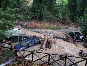 &Kappa;&alpha;&kappa;&omicron;&kappa;&alpha;&iota;&rho;ί&alpha; Daniel: &Nu;&epsilon;&kappa;&rho;ό&sigmaf; &kappa;&tau;&eta;&nu;&omicron;&tau;&rho;ό&phi;&omicron;&sigmaf; &sigma;&tau;&omicron;&nu; &Beta;ό&lambda;&omicron;-&Kappa;&alpha;&tau;&alpha;&pi;&lambda;&alpha;&kappa;ώ&theta;&eta;&kappa;&epsilon; &alpha;&pi;ό &tau;&omicron;ί&chi;&omicron;