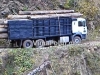 Ά&gamma;&rho;&alpha;&phi;&alpha;:&Eta; &pi;&iota;&omicron; &epsilon;&pi;&iota;&kappa;ί&nu;&delta;&upsilon;&nu;&eta; &mu;&alpha;&nu;&omicron;ύ&beta;&rho;&alpha; &mu;&epsilon; &phi;&omicron;&rho;&tau;&eta;&gamma;ό(Bί&nu;&tau;&epsilon;&omicron;)