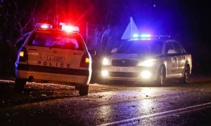 &Alpha;&nu;ά&beta;&upsilon;&sigma;&sigma;&omicron;&sigmaf;: Ά&gamma;&rho;&iota;&alpha; &sigma;&upsilon;&mu;&pi;&lambda;&omicron;&kappa;ή &mu;&epsilon; &pi;&upsilon;&rho;&omicron;&beta;&omicron;&lambda;&iota;&sigma;&mu;&omicron;ύ&sigmaf; &kappa;&alpha;&iota; &tau;&rho;&epsilon;&iota;&sigmaf; &tau;&rho;&alpha;&upsilon;&mu;&alpha;&tau;ί&epsilon;&sigmaf;