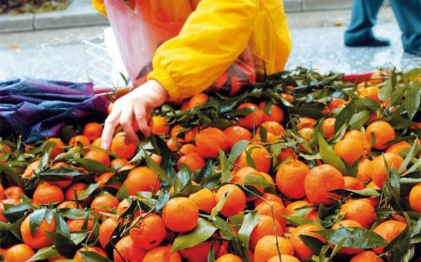 Δωρεάν διανομή πορτοκαλιών και μανταρινιών σε Άγραφα &amp; Καρπενήσι