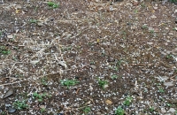 &Alpha;&iota;&tau;&omega;&lambda;/&nu;ί&alpha;:&Eta; &sigma;&phi;&omicron;&delta;&rho;ή &chi;&alpha;&lambda;&alpha;&zeta;ό&pi;&tau;&omega;&sigma;&eta; έ&phi;&epsilon;&rho;&epsilon; &epsilon;&kappa;&tau;&epsilon;&tau;&alpha;&mu;έ&nu;&epsilon;&sigmaf; &zeta;&eta;&mu;&iota;έ&sigmaf; &sigma;&tau;&alpha; &epsilon;&lambda;&alpha;&iota;ό&delta;&epsilon;&nu;&tau;&rho;&alpha;