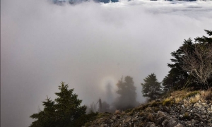 &Epsilon;&upsilon;&rho;&upsilon;&tau;&alpha;&nu;ί&alpha;:&Tau;&rho;ό&mu;&omicron;&sigmaf; &mu;&epsilon; &tau;&omicron; &phi;ά&nu;&tau;&alpha;&sigma;&mu;&alpha; &tau;&omicron;&upsilon; &Mu;&pi;&rho;ό&kappa;&epsilon;&nu; &sigma;&tau;&omicron; &Mu;&alpha;&upsilon;&rho;ί&lambda;&omicron;-&Omicron;&iota; &epsilon;&iota;&kappa;ό&nu;&epsilon;&sigmaf; &pi;&omicron;&upsilon; &laquo;&tau;&rho;έ&lambda;&alpha;&nu;&alpha;&nu;&raquo; &tau;&omicron;&upsilon;&sigmaf; &kappa;&alpha;&tau;&omicron;ί&kappa;&omicron;&upsilon;&sigmaf;