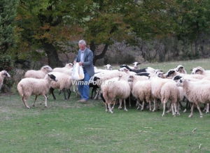 &Sigma;&epsilon; &omicron;&iota;&kappa;&omicron;&nu;&omicron;&mu;&iota;&kappa;ό &alpha;&delta;&iota;έ&xi;&omicron;&delta;&omicron; &omicron;&iota; &kappa;&tau;&eta;&nu;&omicron;&tau;&rho;ό&phi;&omicron;&iota; &tau;&omega;&nu; &Alpha;&gamma;&rho;ά&phi;&omega;&nu;-&Kappa;&rho;&alpha;&upsilon;&gamma;ή &alpha;&gamma;&omega;&nu;ί&alpha;&sigmaf; &tau;&omega;&nu; &delta;&eta;&mu;ά&rho;&chi;&omega;&nu;