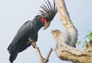 Ζητείται «νέα» ανθεκτικότητα των ανθρώπινων κοινοτήτων!