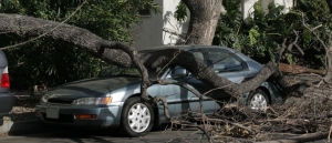 Ά&gamma;&rho;&alpha;&phi;&alpha;:A&pi;&omicron;&zeta;&eta;&mu;ί&omega;&sigma;&eta; &sigma;&epsilon; &pi;&omicron;&lambda;ί&tau;&eta; &gamma;&iota;&alpha; &zeta;&eta;&mu;&iota;έ&sigmaf; &sigma;&epsilon; &alpha;&upsilon;&tau;&omicron;&kappa;ί&nu;&eta;&tau;&alpha; &lambda;ό&gamma;&omega; &pi;&tau;ώ&sigma;&eta;&sigmaf; &delta;έ&nu;&tau;&rho;&omicron;&upsilon;