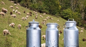 &Eta; &iota;&sigma;&chi;ύ&sigmaf; &epsilon;&nu; &tau;&eta; &epsilon;&nu;ώ&sigma;&epsilon;&iota; &gamma;&iota;&alpha; &tau;&omicron;&upsilon;&sigmaf; &kappa;&tau;&eta;&nu;&omicron;&tau;&rho;ό&phi;&omicron;&upsilon;&sigmaf; &tau;&omega;&nu; &Alpha;&gamma;&rho;ά&phi;&omega;&nu;