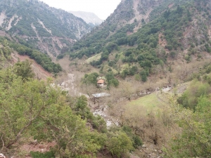 Ά&gamma;&rho;&alpha;&phi;&alpha;:&Kappa;ί&nu;&delta;&upsilon;&nu;&omicron;&sigmaf; &gamma;&iota;&alpha; &tau;&eta;&nu; &Pi;&alpha;&nu;&alpha;&gamma;ί&alpha; &Lambda;&omicron;&upsilon;&rho;&iota;&sigma;&iota;ώ&tau;&iota;&sigma;&sigma;&alpha; &sigma;&tau;&omicron; &Beta;&alpha;&sigma;&iota;&lambda;έ&sigma;&iota; &Pi;&rho;&alpha;&sigma;&iota;ά&sigmaf;