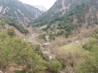 Ά&gamma;&rho;&alpha;&phi;&alpha;:&Kappa;ί&nu;&delta;&upsilon;&nu;&omicron;&sigmaf; &gamma;&iota;&alpha; &tau;&eta;&nu; &Pi;&alpha;&nu;&alpha;&gamma;ί&alpha; &Lambda;&omicron;&upsilon;&rho;&iota;&sigma;&iota;ώ&tau;&iota;&sigma;&sigma;&alpha; &sigma;&tau;&omicron; &Beta;&alpha;&sigma;&iota;&lambda;έ&sigma;&iota; &Pi;&rho;&alpha;&sigma;&iota;ά&sigmaf;