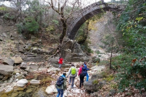 "&Epsilon;&kappa;&pi;έ&mu;&pi;&epsilon;&iota;" sos &tau;&omicron; &pi;έ&tau;&rho;&iota;&nu;&omicron; &gamma;&epsilon;&phi;ύ&rho;&iota; &tau;&eta;&sigmaf; K&alpha;&tau;&omicron;ύ&nu;&alpha;&sigmaf; &sigma;&tau;&eta;&nu; &Beta;ί&nu;&iota;&alpha;&nu;&eta; &Alpha;&gamma;&rho;ά&phi;&omega;&nu;