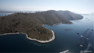 T&rho;&alpha;&gamma;&omega;&delta;ί&alpha; &sigma;&tau;&omicron;&nu; &Alpha;&sigma;&tau;&alpha;&kappa;ό:&Pi;&nu;ί&gamma;&eta;&kappa;&epsilon; 51&chi;&rho;&omicron;&nu;&omicron;&sigmaf; &epsilon;&rho;&gamma;&alpha;&zeta;ό&mu;&epsilon;&nu;&omicron;&sigmaf; &sigma;&epsilon; &iota;&chi;&theta;&upsilon;&omicron;&tau;&rho;&omicron;&phi;&epsilon;ί&omicron;