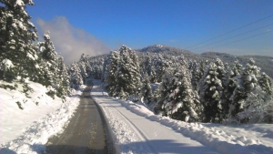 &Phi;&lambda;&epsilon;&beta;ά&rho;&eta;&sigmaf; &kappa;&alpha;&iota; &pi;&alpha;&rho;ά&delta;&omicron;&sigma;&eta;