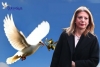 &Kappa;&alpha;&iota; &epsilon;&pi;ί&sigma;&eta;&mu;&alpha; &sigma;&tau;&omicron; &tau;&iota;&mu;ό&nu;&iota; &tau;&omicron;&upsilon; &laquo;&Alpha;&nu;&epsilon;&xi;ά&rho;&tau;&eta;&tau;&omicron;&upsilon; &Kappa;&iota;&nu;ή&mu;&alpha;&tau;&omicron;&sigmaf; &Pi;&omicron;&lambda;&iota;&tau;ώ&nu;&raquo; &eta; &Mu;&alpha;&rho;ί&alpha; &Kappa;&alpha;&rho;&upsilon;&sigma;&tau;&iota;&alpha;&nu;&omicron;ύ &ndash; &Alpha;&nu;&tau;ί&sigma;&tau;&rho;&omicron;&phi;&eta; &mu;έ&tau;&rho;&eta;&sigma;&eta; &gamma;&iota;&alpha; &tau;&omicron; &nu;έ&omicron; &kappa;ό&mu;&mu;&alpha;