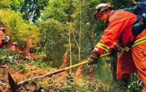 Ά&gamma;&rho;&alpha;&phi;&alpha;:10 &pi;&rho;&omicron;&sigma;&lambda;ή&psi;&epsilon;&iota;&sigmaf; &epsilon;&rho;&gamma;&alpha;&tau;ώ&nu; &gamma;&iota;&alpha; &tau;&eta;&nu; &pi;&upsilon;&rho;&omicron;&pi;&rho;&omicron;&sigma;&tau;&alpha;&sigma;ί&alpha; &tau;&omicron;&upsilon; &delta;ή&mu;&omicron;&upsilon;.Ό&lambda;&alpha; &tau;&alpha; &omicron;&nu;ό&mu;&alpha;&tau;&alpha;