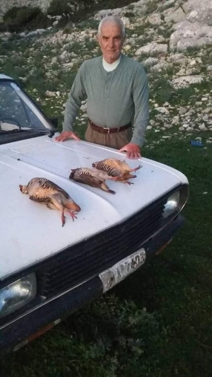 &Theta;&lambda;ί&psi;&eta; &sigma;&tau;&omicron; &Alpha;&gamma;&rho;ί&nu;&iota;&omicron; &gamma;&iota;&alpha; &tau;&omicron;&nu; &alpha;&iota;&phi;&nu;ί&delta;&iota;&omicron; &theta;ά&nu;&alpha;&tau;&omicron; &tau;&omicron;&upsilon; &pi;&rho;&omicron;έ&delta;&rho;&omicron;&upsilon; &tau;&omega;&nu; &kappa;&upsilon;&nu;&eta;&gamma;ώ&nu; &Gamma;&iota;ώ&rho;&gamma;&omicron; &Pi;&alpha;&pi;&pi;ά