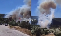Συναγερμός στην Πυροσβεστική για μεγάλη φωτιά σε δασική έκταση στο Πόρτο Γερμενό