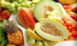 &Pi;&omicron;&iota;&omicron; &phi;&rho;&omicron;ύ&tau;&omicron; &epsilon;&pi;&omicron;&chi;ή&sigmaf; &sigma;&eta;&kappa;ώ&nu;&epsilon;&iota; &alpha;&sigma;&pi;ί&delta;&alpha; &sigma;&epsilon; ά&sigma;&theta;&mu;&alpha;, &upsilon;&pi;έ&rho;&tau;&alpha;&sigma;&eta; &kappa;&alpha;&iota; &epsilon;&kappa;&phi;ύ&lambda;&iota;&sigma;&eta; &omega;&chi;&rho;ά&sigmaf; &kappa;&eta;&lambda;ί&delta;&alpha;&sigmaf;