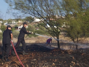 &Alpha;&gamma;&rho;ί&nu;&iota;&omicron;:&Phi;&omega;&tau;&iota;ά &sigma;&tau;&eta;&nu; &Nu;&epsilon;ά&pi;&omicron;&lambda;&eta; &kappa;&iota;&nu;&eta;&tau;&omicron;&pi;&omicron;ί&eta;&sigma;&epsilon; &tau;&eta;&nu; &Pi;&upsilon;&rho;&omicron;&sigma;&beta;&epsilon;&sigma;&tau;&iota;&kappa;ή-&Kappa;ά&eta;&kappa;&alpha;&nu; &epsilon;&lambda;&alpha;&iota;ό&delta;&epsilon;&nu;&tau;&rho;&alpha;,&mu;ί&alpha; &sigma;ύ&lambda;&lambda;&eta;&psi;&eta;