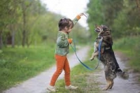 Ποιες είναι οι πιο φιλικές φυλές σκύλων για τα παιδιά