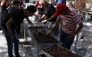 1&eta; &Gamma;&iota;&omicron;&rho;&tau;ή &kappa;ά&sigma;&tau;&alpha;&nu;&omicron;&upsilon; &amp; &Tau;&sigma;ί&pi;&omicron;&upsilon;&rho;&omicron;&upsilon; &sigma;&tau;&alpha; &Lambda;&epsilon;&pi;&iota;&alpha;&nu;ά &Alpha;&gamma;&rho;ά&phi;&omega;&nu;