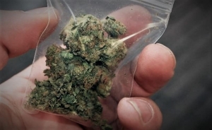 &Chi;&epsilon;&iota;&rho;&omicron;&pi;έ&delta;&epsilon;&sigmaf; &alpha;&pi;ό &alpha;&sigma;&tau;&upsilon;&nu;&omicron;&mu;&iota;&kappa;&omicron;ύ&sigmaf; &tau;&omicron;&upsilon; &Kappa;&alpha;&rho;&pi;&epsilon;&nu;&eta;&sigma;ί&omicron;&upsilon; &sigma;&epsilon; &nu;&epsilon;&alpha;&rho;ό ά&nu;&delta;&rho;&alpha; &gamma;&iota;&alpha; &nu;&alpha;&rho;&kappa;&omega;&tau;&iota;&kappa;ά