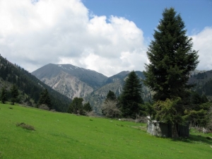 &Pi;&alpha;&gamma;&kappa;ό&sigma;&mu;&iota;&alpha; &Eta;&mu;έ&rho;&alpha; &Beta;&omicron;&upsilon;&nu;&omicron;ύ: &Kappa;ά&lambda;&epsilon;&sigma;&mu;&alpha; &epsilon;&nu;ά&nu;&tau;&iota;&alpha; &sigma;&tau;&eta; &lambda;&epsilon;&eta;&lambda;&alpha;&sigma;ί&alpha; &kappa;&alpha;&iota; &sigma;&tau;&eta;&nu; &kappa;&alpha;&tau;&alpha;&sigma;&tau;&rho;&omicron;&phi;ή &tau;&eta;&sigmaf; &phi;ύ&sigma;&eta;&sigmaf; &sigma;&tau;&alpha; Ά&gamma;&rho;&alpha;&phi;&alpha;