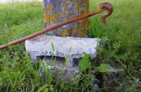 &Sigma;&tau;&alpha;ύ&rho;&omega;&sigma;&eta; &chi;&omega;&rho;ί&sigmaf; &Alpha;&nu;ά&sigma;&tau;&alpha;&sigma;&eta; &gamma;&iota;&alpha; &tau;&eta;&nu; &kappa;&tau;&eta;&nu;&omicron;&tau;&rho;&omicron;&phi;ί&alpha;