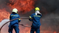 Μάχη με τις φλόγες στην Αλεξανδρούπολη -Εκκενώνονται τρεις οικισμοί