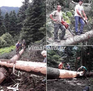 &Sigma;&tau;&alpha; ..&lambda;&eta;&mu;έ&rho;&iota;&alpha; &tau;&omega;&nu; &xi;&upsilon;&lambda;&omicron;&kappa;ό&pi;&omega;&nu; &tau;&eta;&sigmaf; &Pi;&rho;&alpha;&sigma;&iota;ά&sigmaf;(&Phi;ώ&tau;&omicron;)