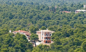 Νέα «τακτοποίηση» για 40 χρόνια στα αυθαίρετα σε δάση