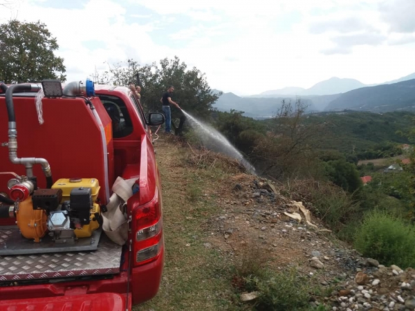 &Upsilon;&pi;ό έ&lambda;&epsilon;&gamma;&chi;&omicron; &eta; &phi;&omega;&tau;&iota;ά &sigma;&tau;&eta;&nu; &Delta;&alpha;&phi;&nu;&omicron;ύ&lambda;&alpha; &Alpha;&gamma;&rho;ά&phi;&omega;&nu;(&Phi;ώ&tau;&omicron;)